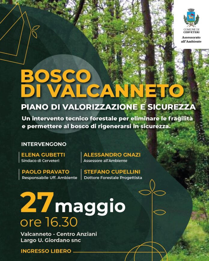 locandina valcanneto