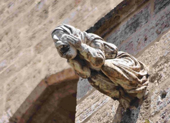 Cattedrale gargoile