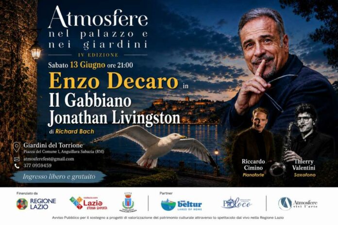 gabbiano b