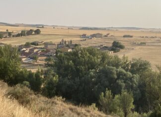 Avellanosa de Muñó