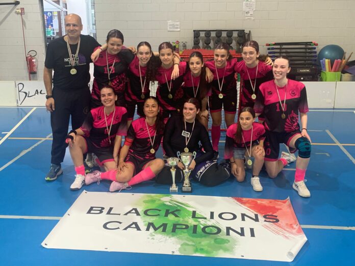 black lions1