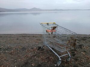 carrello spesa