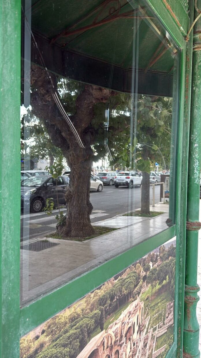 vandalismo Civitavecchia